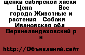 щенки сибирской хаски  › Цена ­ 10 000 - Все города Животные и растения » Собаки   . Ивановская обл.,Верхнеландеховский р-н
